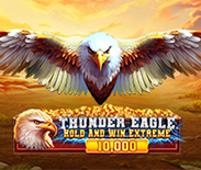 Thunder Eagle Hold and Win Extreme 10,000 Thunder Eagle Hold and Win Extreme 10,000